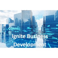 Ignite-BusinessDevelopment logo - Similar company to Bytecraft Labs