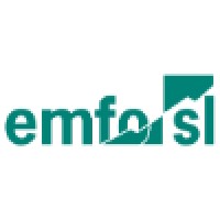 EMFO (Mollet del Vallès) logo - Similar company to Fundació Privada Integramenet