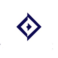TECHWISE Inteligência Empresarial logo - Similar company to Watchone Security Services, Llc