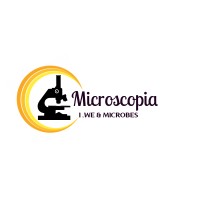 Microscopia IWM logo - Similar company to Chingaaari