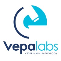 Vepalabs - Veterinary Point-of-Care Diagnostics logo - Similar company to X-Ray International Ltd