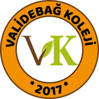 Validebağ Koleji logo - Similar company to Medipol