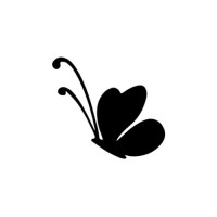 Socialfly logo - Similar company to Zafify