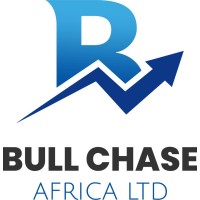 Bull Chase Africa logo - Similar company to Sheruta Online