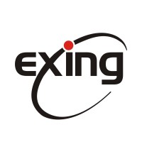 Exing logo - Similar company to Elsus Sl