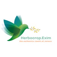 Herbocrop.Exim logo - Similar company to Mystic Global Exim