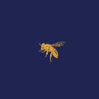 BEEHAVEUK logo - Similar company to D.S.Corbett Electrical Services