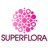 Noisy Guts logo - Similar company to Mecommerce