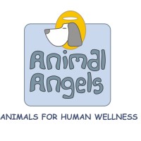 Animal Angels Therapy Center / Animal Angels Foundation logo - Similar company to Neuro Node