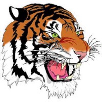 Tyger Security Ltd logo - Similar company to Airology Systems Ltd
