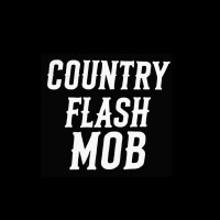 Country Flash Mob logo - Similar company to Shefa Global, Llc