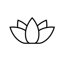Lotus Streetwear LLC logo - Similar company to Crmy