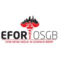 EFOR OSGB logo - Similar company to Sahra Osgb