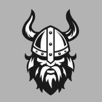 Viking Asia Trading logo - Similar company to Kbzsc Securities