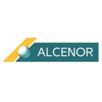 Alcenor logo - Similar company to Gap Computacion