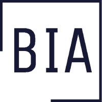 Business Intelligence Association - BSS logo - Similar company to Blue Control