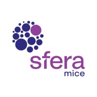 Sfera Turizm Tanitim Organizasyon Ticaret A.Ş. logo - Similar company to Dream On Event