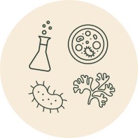 The Loop Institute