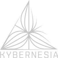 Kybernesia logo - Similar company to Nooglyph