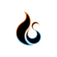 DS Ignite - Contentmarketing agency logo - Similar company to Elevate It Now®