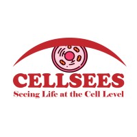 CELLSEES logo - Similar company to Brainmapping Labs
