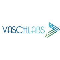 VaschLabs logo - Similar company to Factor Determinante