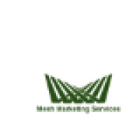 Mesh Marketing