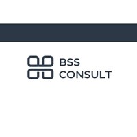 BSS Consult logo - Similar company to Bssplus