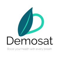 Demosat logo - Similar company to Patascore