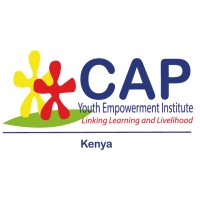 CAP Youth Empowerment Institute logo - Similar company to Cap Foundation