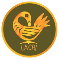 Laboratório De Estudos Afrocentrados Em Relações Internacionais