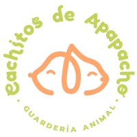 Cachitos de Apapacho logo - Similar company to Massive Tech