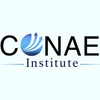 CONAE Institute logo - Similar company to Conae Gmbh