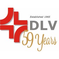 DLV Engineers logo - Similar company to Dynamdre Innovative Solutions