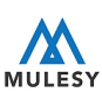Mulesy logo - Similar company to Integration World