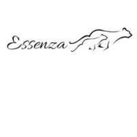 Clínica Essenza logo - Similar company to Xtech Digital