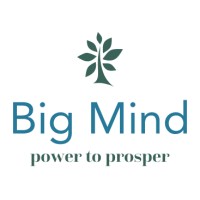 BIG MIND Consultant logo - Similar company to Bigmind - Business Consultants