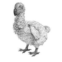 HUGUES & LEWIS LTD logo - Similar company to Nomadism