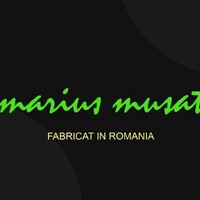MARIUS MUȘAT logo - Similar company to Serious Business
