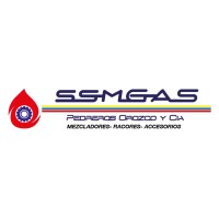 SSMGAS- Fábrica, desarrollo y distribución de autopartes para GNV-GLP logo - Similar company to Kwikship, Llc