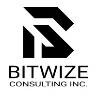 Bitwize Consulting Inc logo - Similar company to Onlysatvik