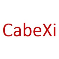 CabeXi logo - Similar company to Amisur