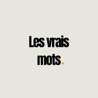 Les Vrais Mots logo - Similar company to Purplizer Group
