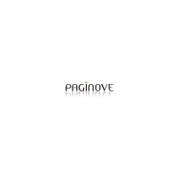 PAGINOVE logo - Similar company to Mpi Impression