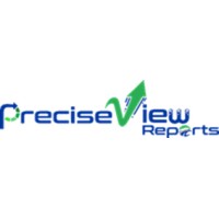 PreciseView Reports logo - Similar company to Amogh Solutions