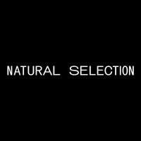 Natural Selection logo - Similar company to Your Mind Your Business