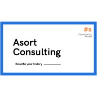 Asort Consulting logo - Similar company to Asort Systems Ltd