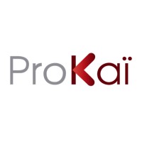 PROKAI FZCO logo - Similar company to Ahead Fzco