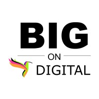 Big On Digital logo - Similar company to 86Redbricks Architects