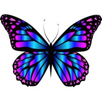 Burch Group logo - Similar company to Canrelieve, Llc